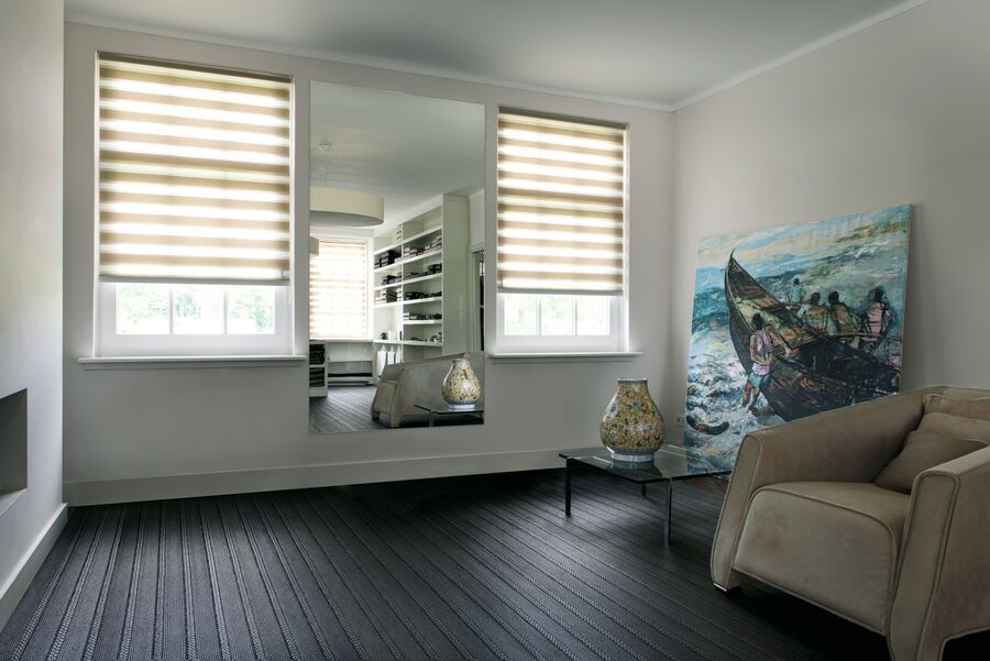 zebra blinds living room